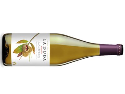 06vi riera